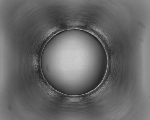 X0000112051305200908111341