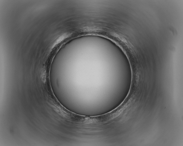 X0000112051306200908111341