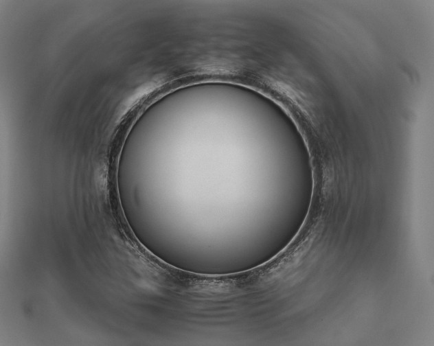 X0000112051307200908111341