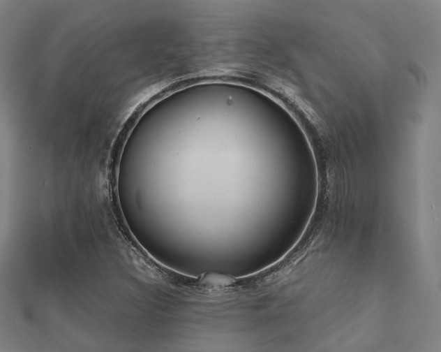 X0000112051308200908111341