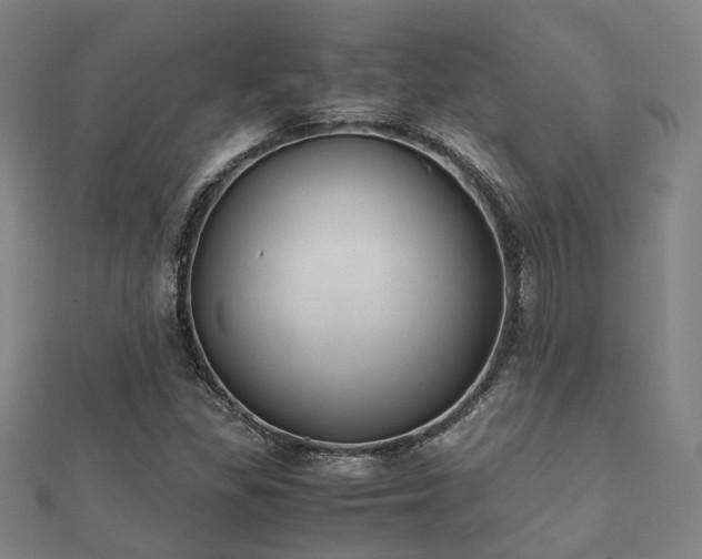 X0000112051309200908111341