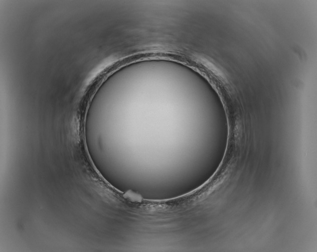 X0000112051310200908111341