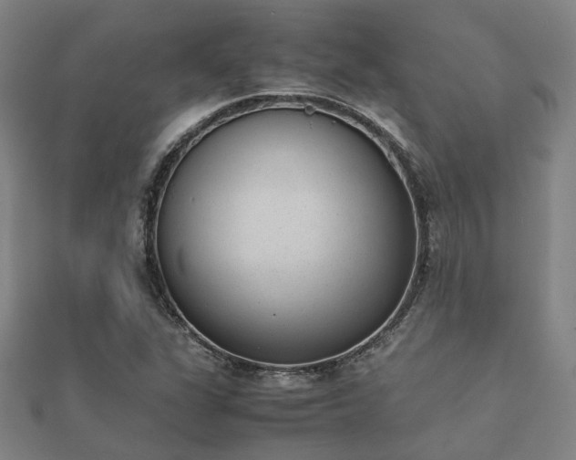 X0000112051311200908111341