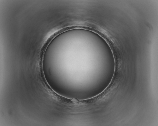 X0000112051312200908111341