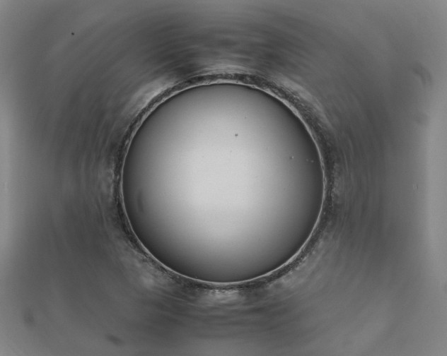 X0000112051313200908111341