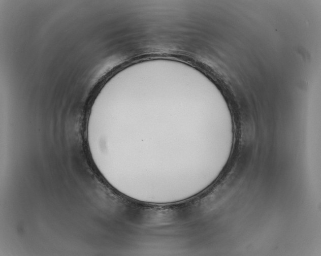 X0000112051314200908111341