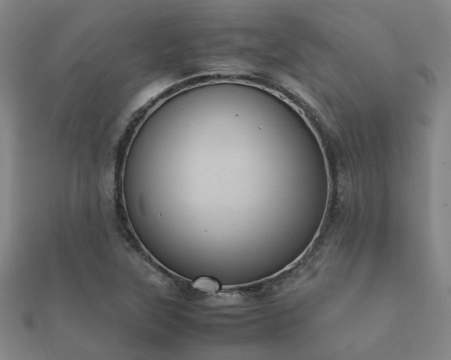 X0000112051315200908111341