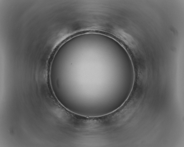 X0000112051316200908111341