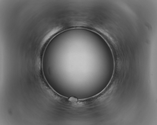 X0000112051317200908111341