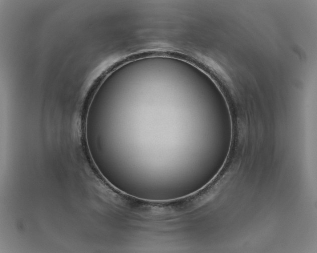 X0000112051318200908111341