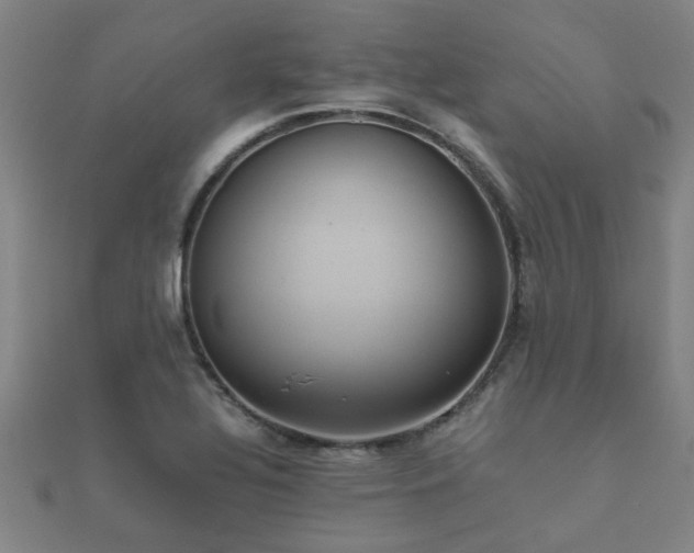 X0000112051320200908111341