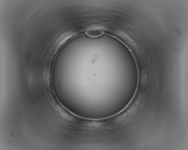 X0000112051321200908111341