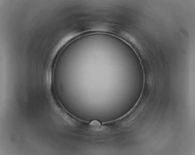 X0000112051323200908111341