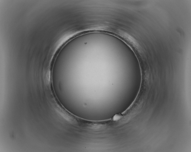 X0000112051324200908111341