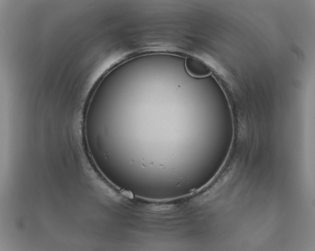 X0000112051325200908111341