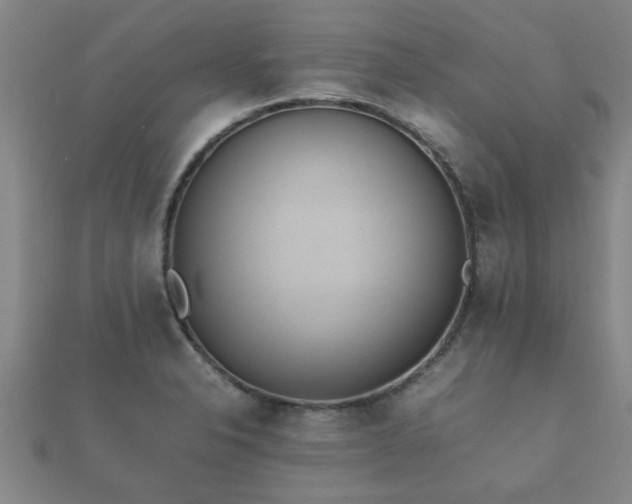 X0000112051326200908111341