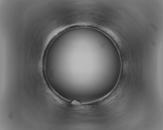 X0000112051327200908111341