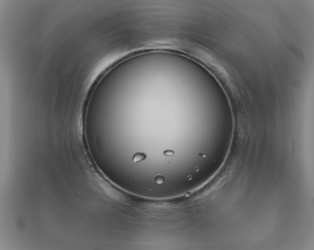 X0000112051328200908111341