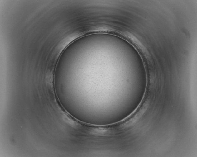 X0000112051329200908111341