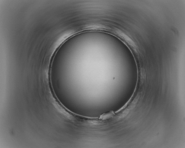 X0000112051330200908111341