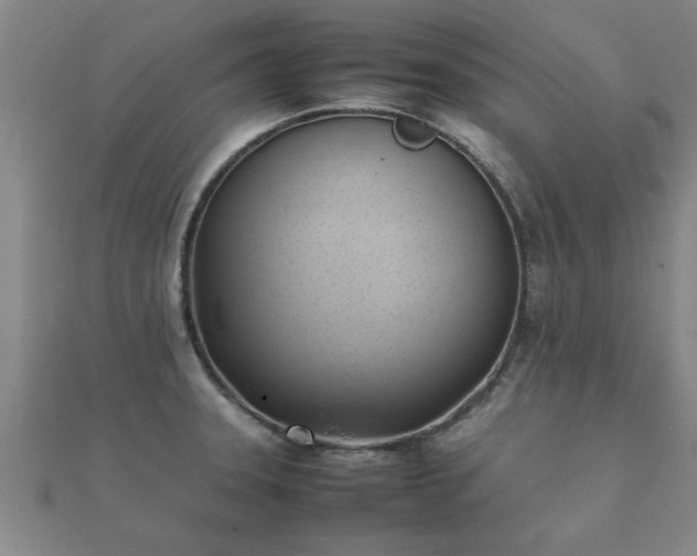 X0000112051331200908111341