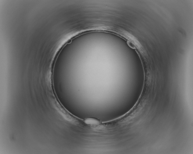 X0000112051332200908111341