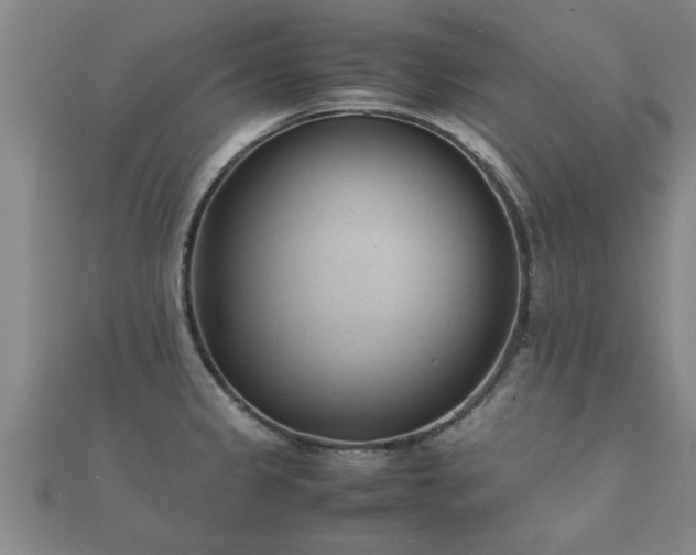 X0000112051333200908111341