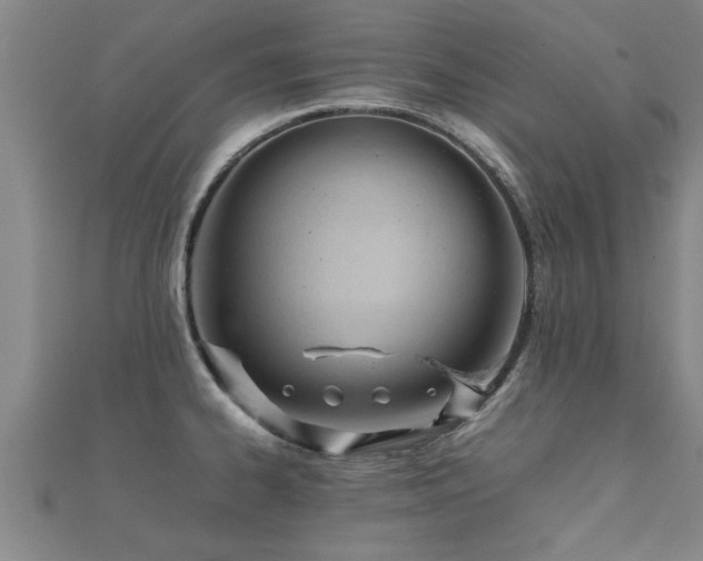 X0000112051334200908111341