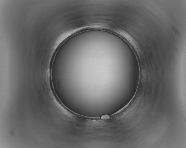 X0000112051335200908111341