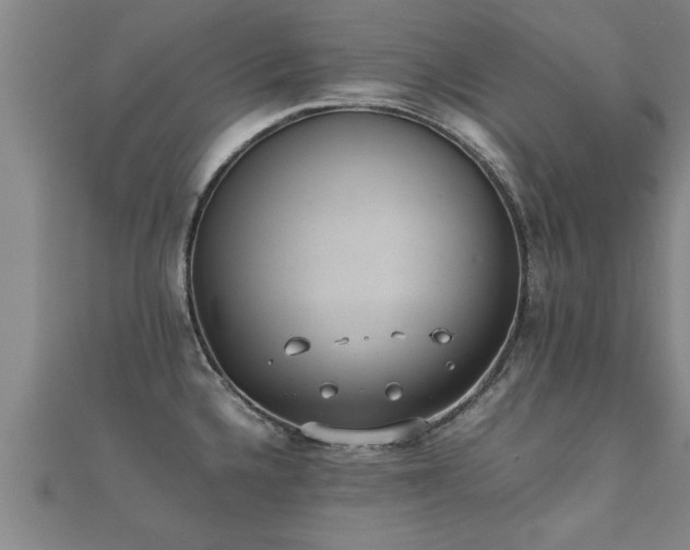 X0000112051336200908111341