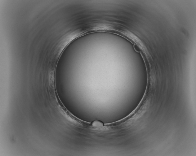 X0000112051337200908111341