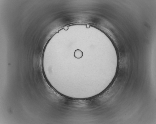 X0000112051338200908111341