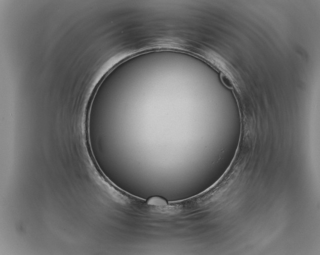 X0000112051339200908111341