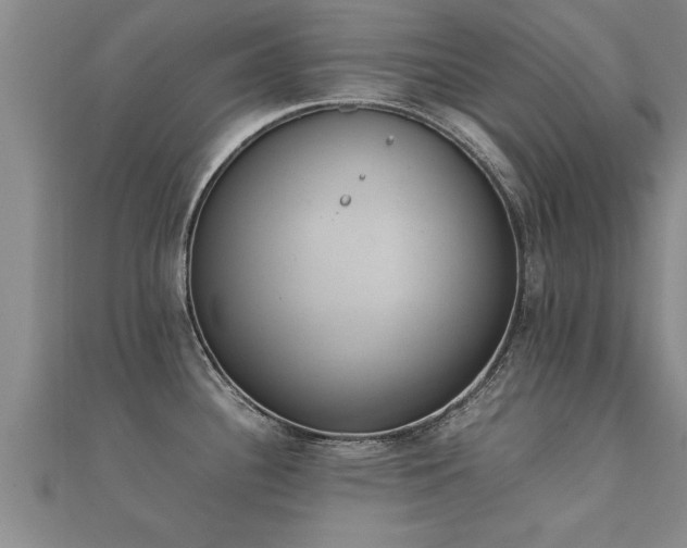 X0000112051340200908111341