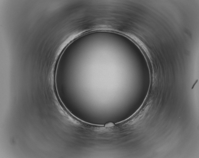 X0000112051341200908111341