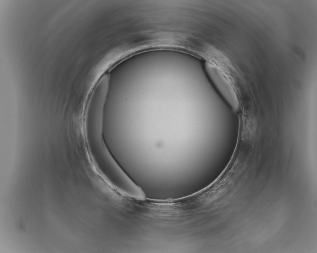 X0000112051342200908111341