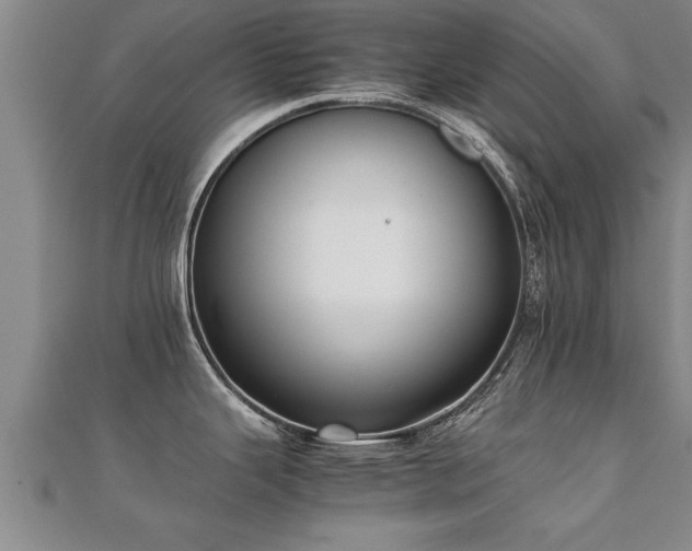 X0000112051343200908111341