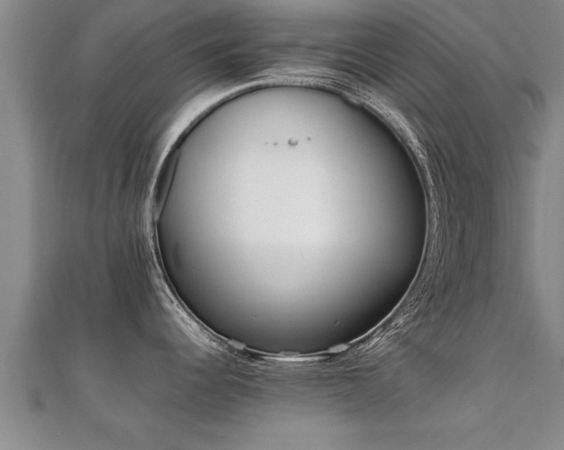 X0000112051344200908111341