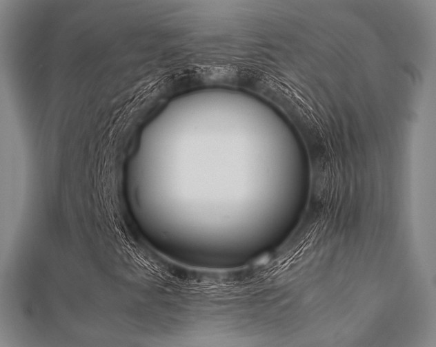 X0000112051345200908111341