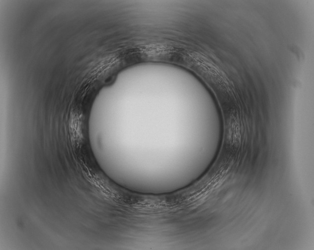 X0000112051346200908111341