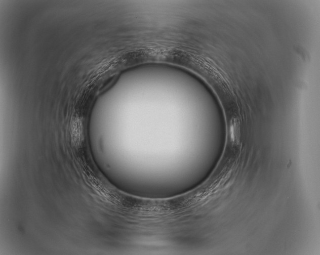 X0000112051347200908111341