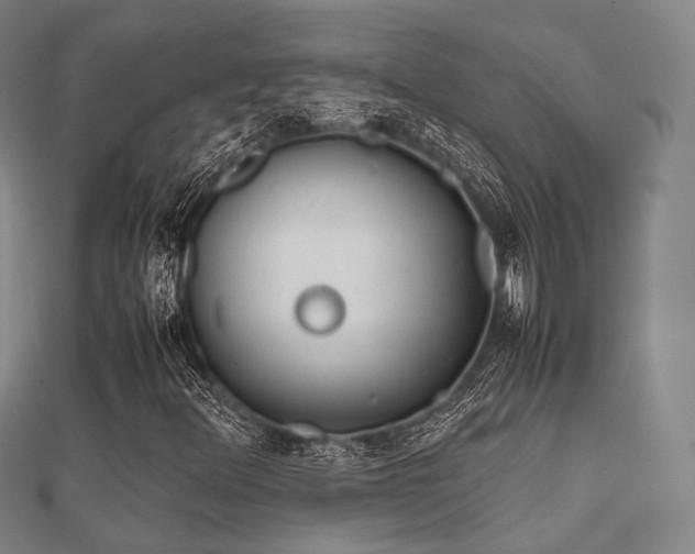 X0000112051348200908111341