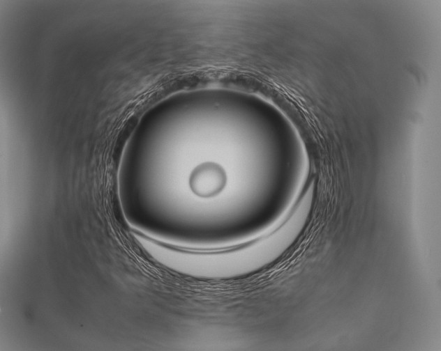 X0000112051349200908111341