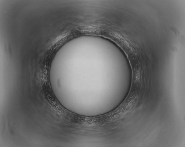 X0000112051350200908111341