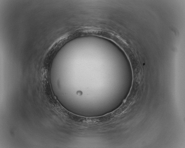 X0000112051351200908111341