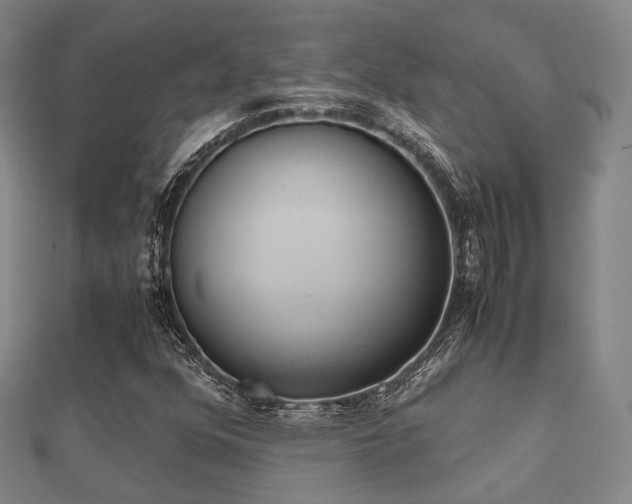 X0000112051352200908111341