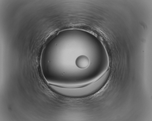 X0000112051353200908111341