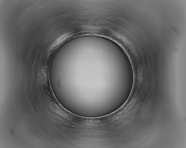 X0000112051354200908111341