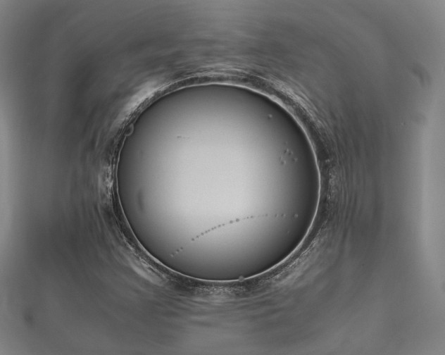 X0000112051355200908111340