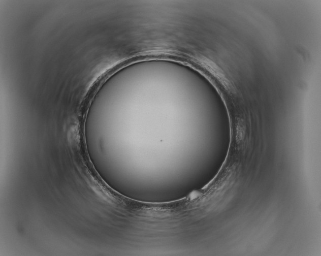 X0000112051356200908111340